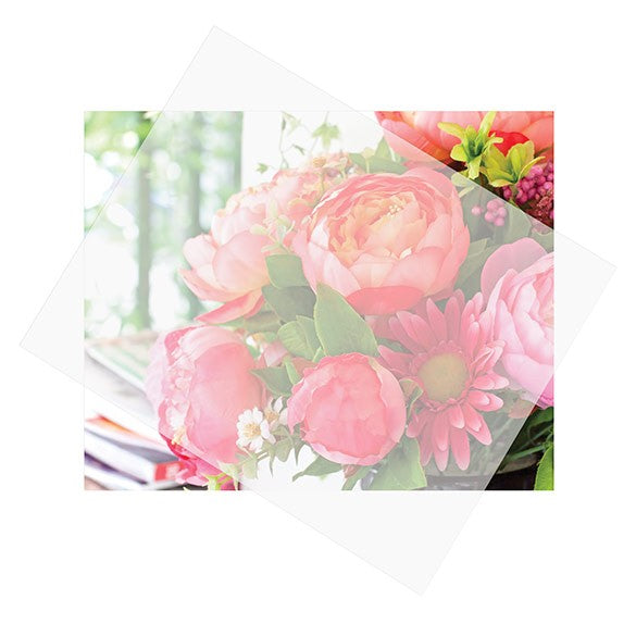 Fogli carta glassine 20,3x25,4cm (25 pezzi) [GS8]
