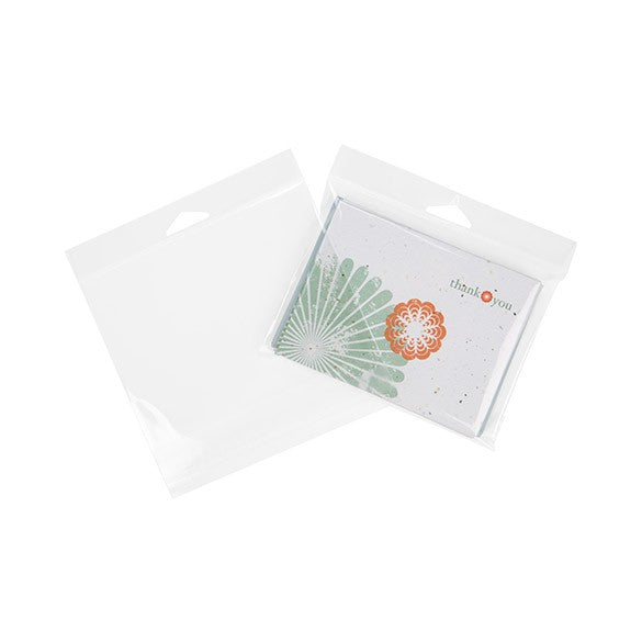 Sacchetti con foro di sospensione 15.9x11.4cm richiudibili e trasparenti (100 pezzi) [HB46]