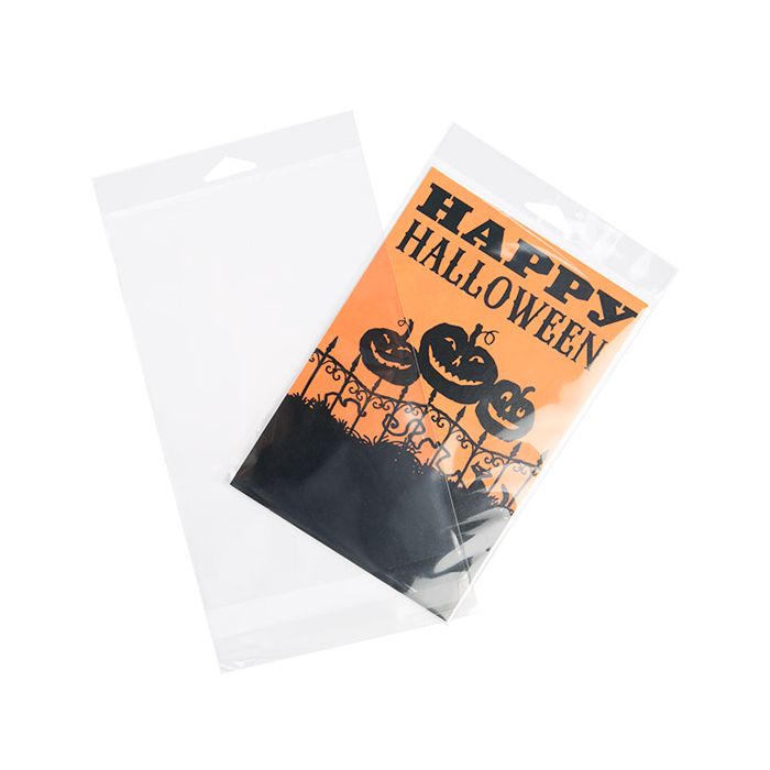 Sacchetti con foro di sospensione 14.4x21.7cm richiudibili e trasparenti (100 pezzi) [HB59S]