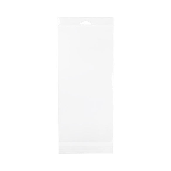 Sacchetti con foro di sospensione 14.4x30.5cm richiudibili e trasparenti (100 pezzi) [HB5H12]