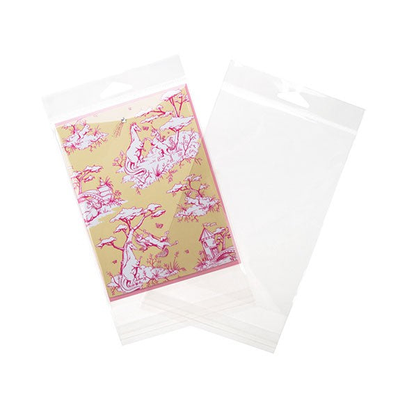 Sacchetti con foro di sospensione 12,5x17,3cm richiudibili e trasparenti (100 pezzi) [HB65]