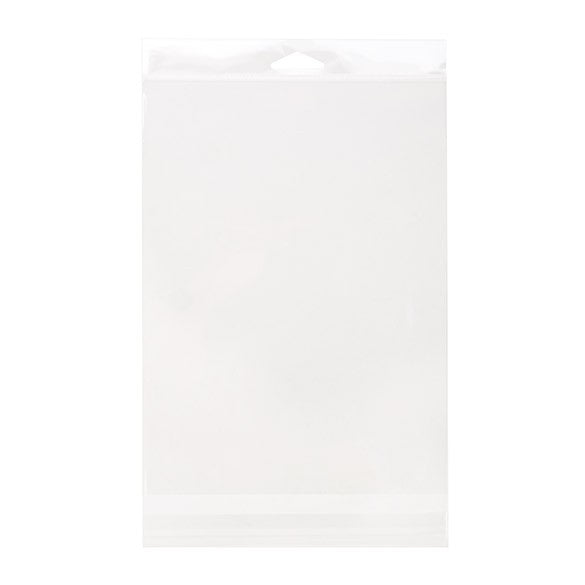 Sacchetti con foro di sospensione 16.5x24.1cm richiudibili e trasparenti (100 pezzi) [HB6H9H]