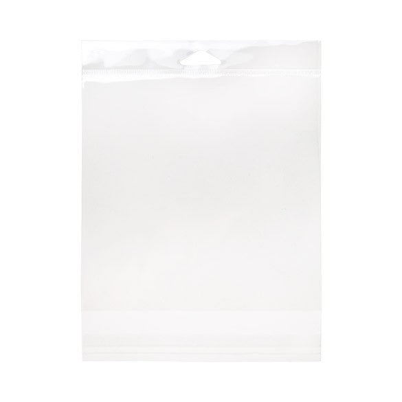 Sacchetti con foro di sospensione 16.8x22.2cm richiudibili e trasparenti (100 pezzi) [HB6X8]