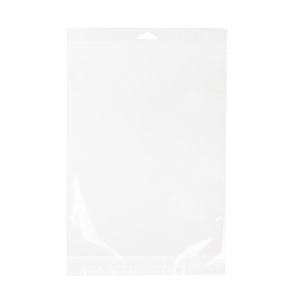 Sacchetti con foro di sospensione 23.5x31.1cm richiudibili e trasparenti (100 pezzi) [HB9SM]