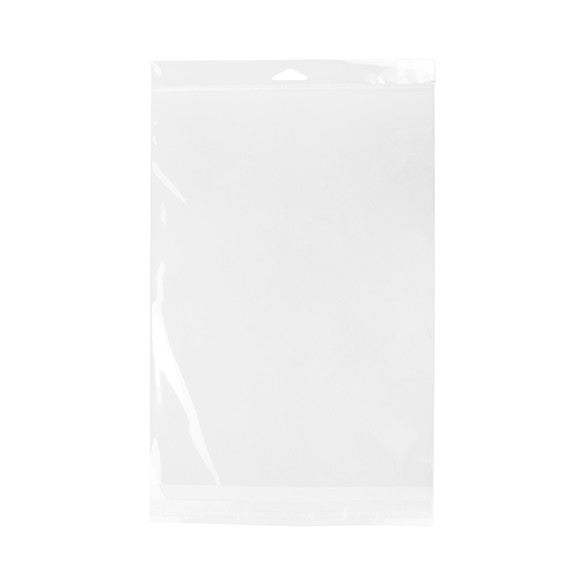 Sacchetti con foro di sospensione 23.5x33cm richiudibili e trasparenti (100 pezzi) [HB9X13]