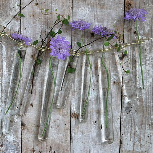 Provetta in vetro 1.5cm di diametro 10cm di altezza, con anello (set di 12 pezzi) [IFS-29201]