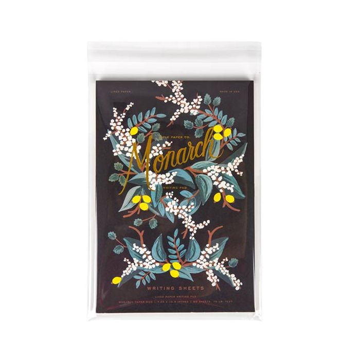 Sacchetto di plastica 21,3x30,3cm trasparente e richiudibile (100 pz) [KO-30159]