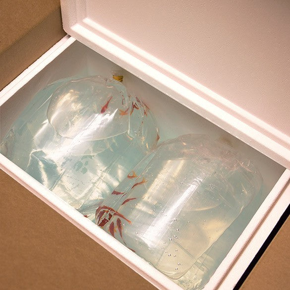 Sacchetto a fondo quadrato Alta Qualità 40.6x20.3x55.9cm (100 pezzi) [3GSBW6]