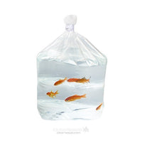 Block Bottom Bags Heavy Duty 15.2x10.2x45.7cm