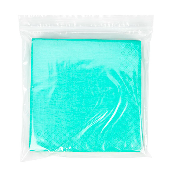 Sacchetto trasparente con chiusura a pressione 20.5x20.5cm PE 50 micron (100 pezzi) [2PE88]