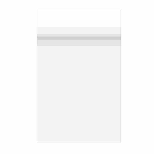 Sacchetto di plastica trasparente 15.3x22.9cm Premium laminato e con chiusura di protezione (100 pezzi) [PL6X9S]