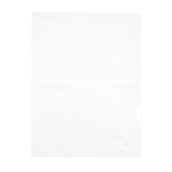 Sacchetto piatto 22.9x30.5cm polipropilene trasparente (100 pezzi) [FP1H912]