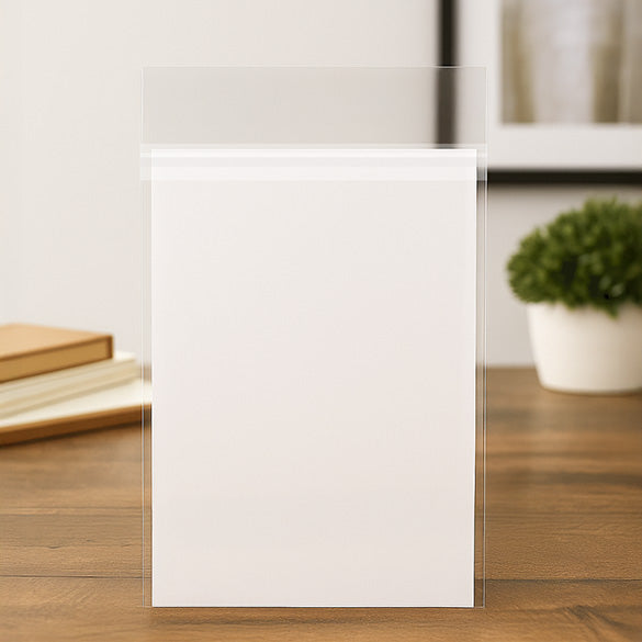 Sacchetto di plastica trasparente 24.1x31.8cm Premium con chiusura di protezione (100 pezzi) [PR9H12H]