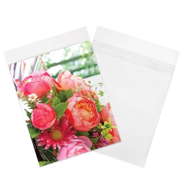 Plastic Bags 21.4x22.7cm Transparent Peel and Seal