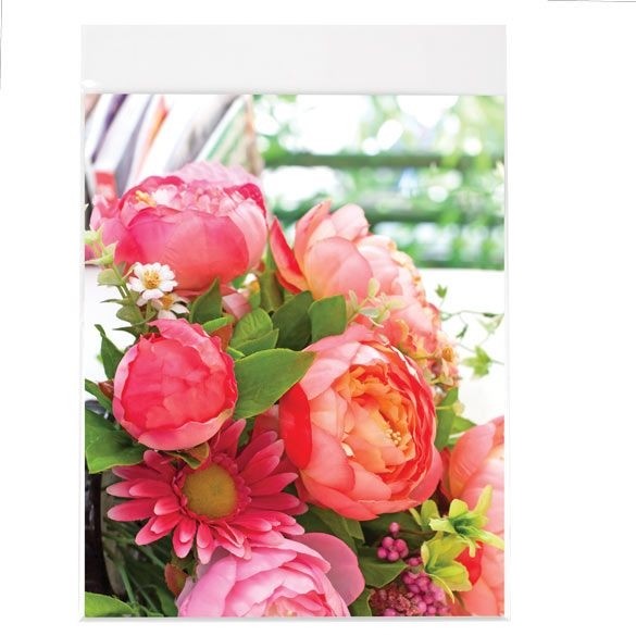 Sacchetto di plastica trasparente 21.4x22.7cm richiudibile (100 pezzi) [B108SPC]