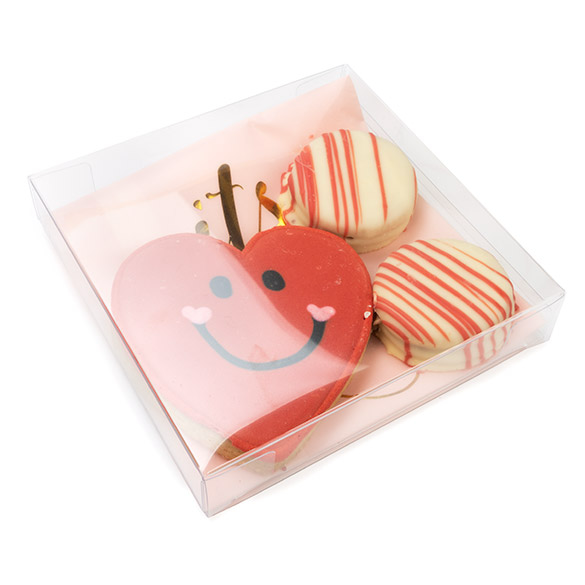 Scatola rPET trasparente 13x2,5x12,9cm (25 pz) [FB47R]