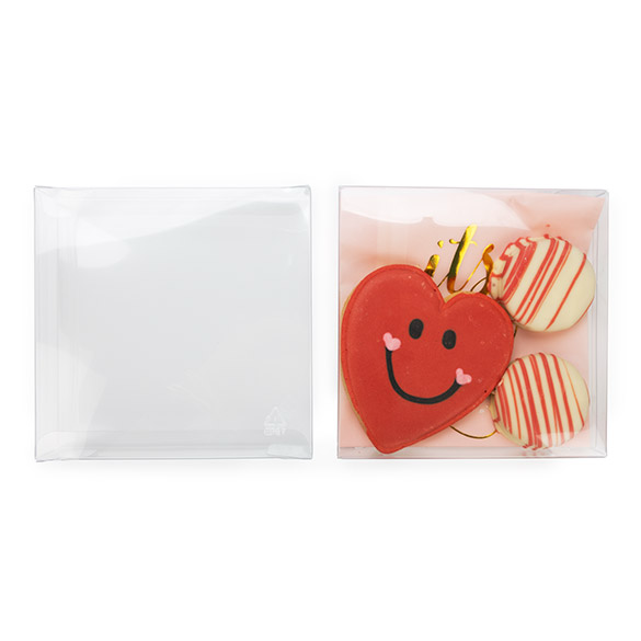 Scatola rPET trasparente 13x2,5x12,9cm (25 pz) [FB47R]
