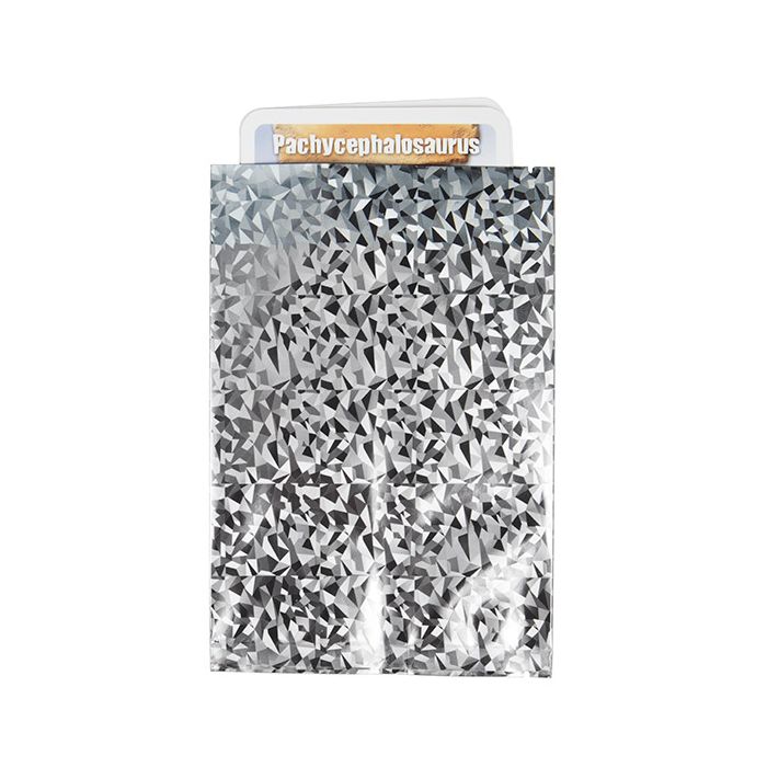 Sacchetto di plastica Cristallo olografico 10,2x15,2 cm (25 pezzi) [SVP46HI]