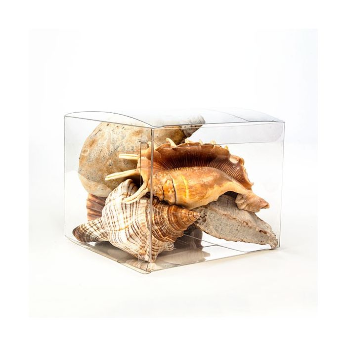 Scatole regalo trasparenti 12.7x12.7x10.2cm (50 pezzi) [VB308]