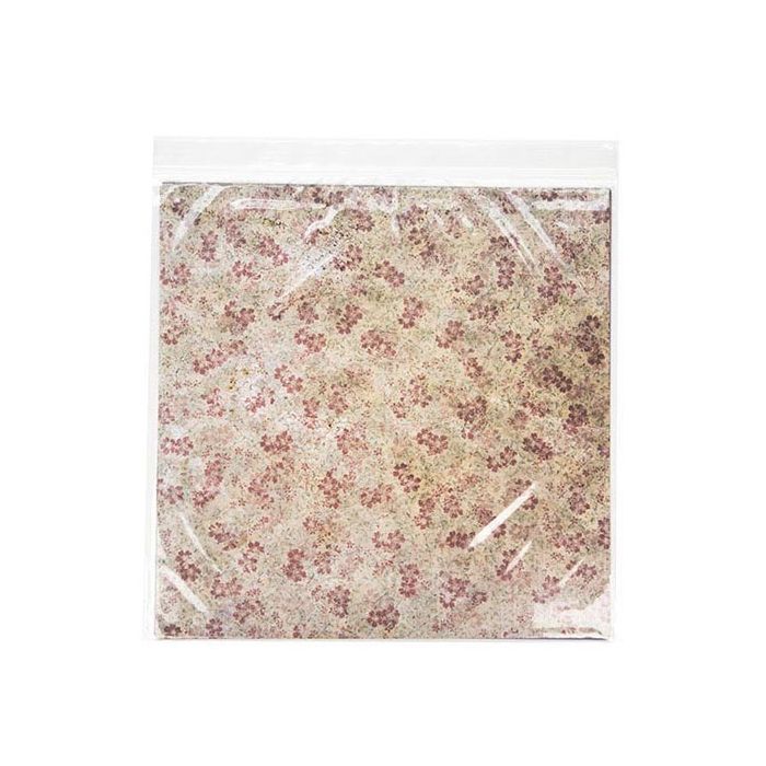 Sacchetto trasparente con chiusura a pressione 32x32cm PP 50 microns (100 pezzi) [ZC12H]