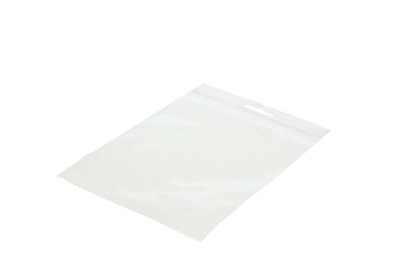 Sacchetto trasparente con chiusura a pressione e foro europeo 18x18 PP 50 microns (100 pezzi) [ZE77]